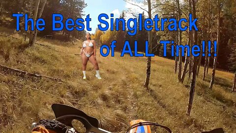 Singletrack - Hands down the best singletrack and I don't know where it is!