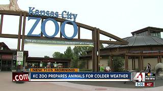 KC Zoo prepares animals, exhibits for winter