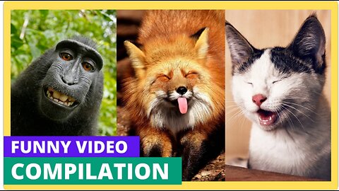 "Cuteness Overload: Hilarious Animal Bloopers"