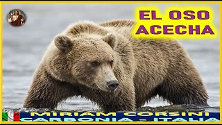 EL OSO ACECHA - MENSAJE DE DIOS PADRE A MIRIAM CORSINI