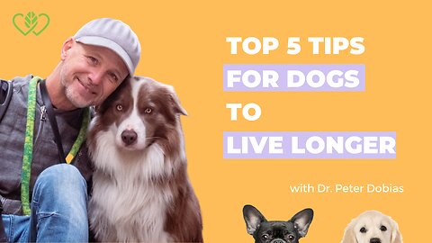 3 Things Your Dogs Wants You to Know | with Dr Peter Dobias and Catherine Edwards