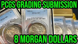 PCGS Morgan Silver Dollar Unboxing & Grading Returns - Toners, Winners, & Failures