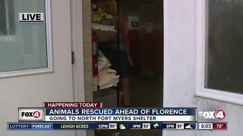 Animals rescued ahead of Florence arrive in North Fort Myers