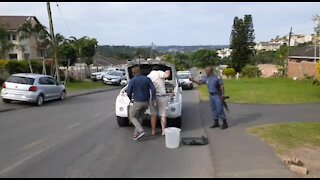 WATCH: Black mamba coils up under car's bonnet to escape Reservoir Hills residents' stones (rxt)