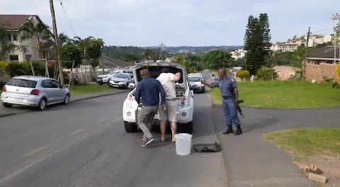 WATCH: Black mamba coils up under car's bonnet to escape Reservoir Hills residents' stones (rxt)