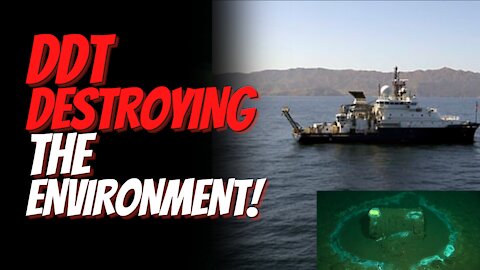 Environmental Disaster off Coast of California. DDT Dumping Ground Destroying Marine Animals.