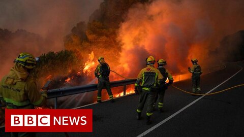 UK_firefighters_battle_wildfires_as_extreme_heat_bakes_Western_Europe_-_BBC_News