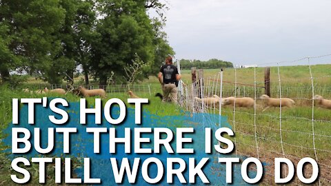 It's So HOT and Humid, But Life On The Farm Doesn't Stop Because of the Weather.