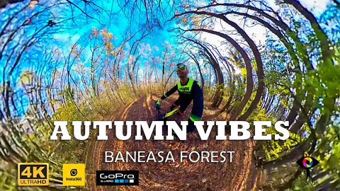 AUTUMN vibes BIKE RIDE with INSTA 360 X3 & GoPro10 | Băneasa Forest, Bucharest | 4K | 🇷🇴