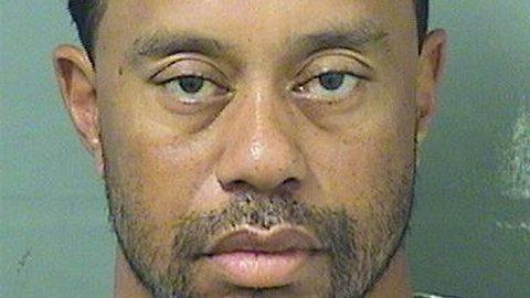 Tiger Woods' Return to Greatness Hits ANOTHER Bump in the Road After Mugshot Surfaces