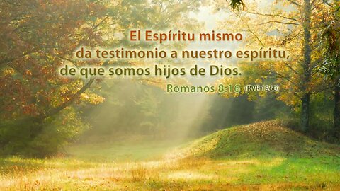 El testimonio del Espíritu Santo #devocional #devocionaldiario #jesuscristo #espiritusanto