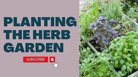 Planting Up the Herb Garden (an honest garden talk)