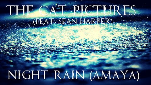 The Cat Pictures (feat. Sean Harper) - Night Rain (Amaya)