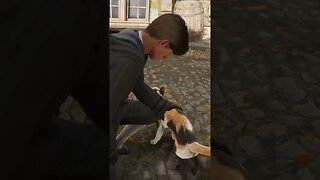 Hogwarts Legacy Petting A Cat #short