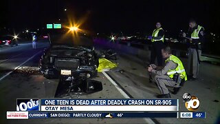 One teen killed in deadly crash on SR-905