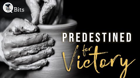 #480 // PREDESTINED FOR VICTORY - Live