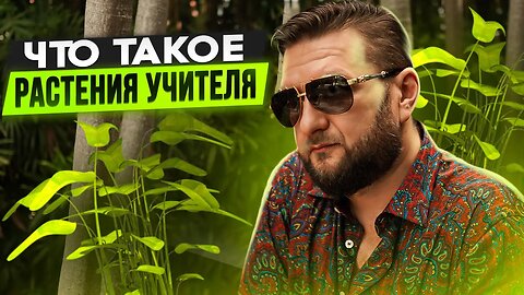 Что такое растения учителя и какой эффект они дают? Ключ к высшим сущностям. #аяуаска #грибы #ретрит