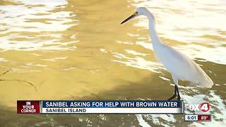 Sanibel asking for help with brown murky water