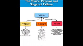 The Clinical Patterns and Stages of FATIGUE