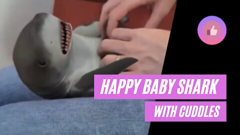 Happy baby shark with cuddles