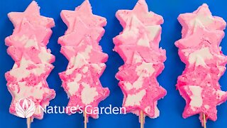 Whip Up Your Own Bubble Bars with Natures Garden