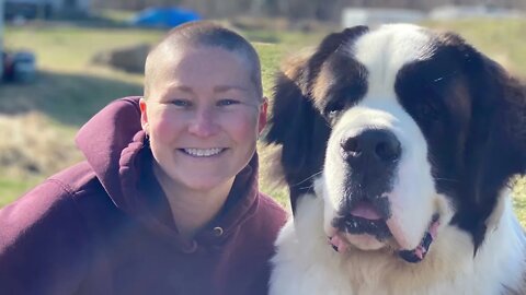 Best days of 2021- St. Bernard and Great Dane grow from 7 weeks to 1 year.