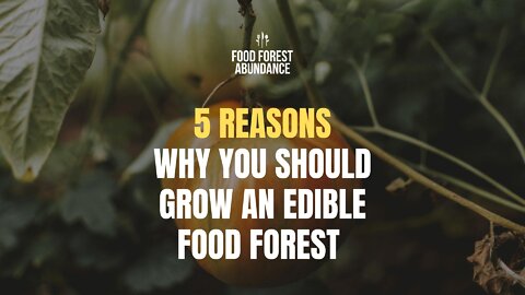 5 Reasons you Should Grow an Edible Food Forest Garden