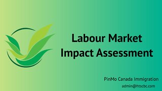 Labour Market Impact Assessment