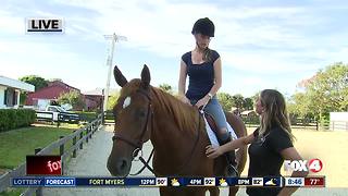 Track to Trail rescues and rehabilitates race horses
