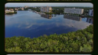 Blasian Babies DaDa And MaMa Bonita Springs, FL Anniversary Getaway Skydio 2+ Drone View!