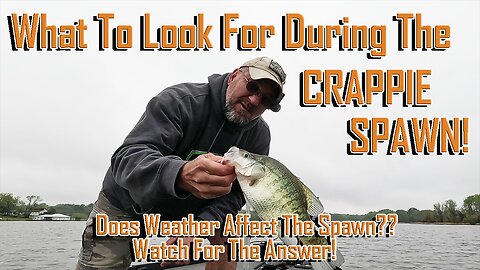 WHAT TO LOOK FOR DURING THE SPAWN, Does The Weather Affect It?, Ep 1724