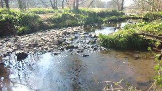 Sound of the stream #short