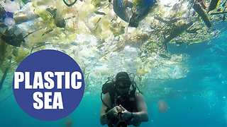Diver Shoots Underwater Video Of The Ocean Pollution In Bali