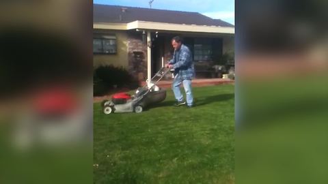 Funny Dog Rides On A Lawn Mower