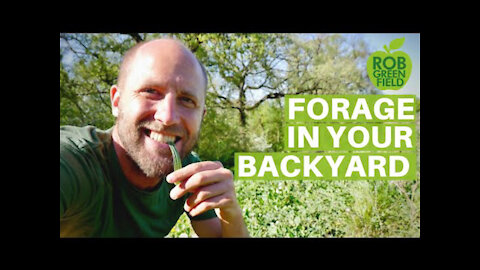 How to Forage Free Food in Your Own Backyard!
