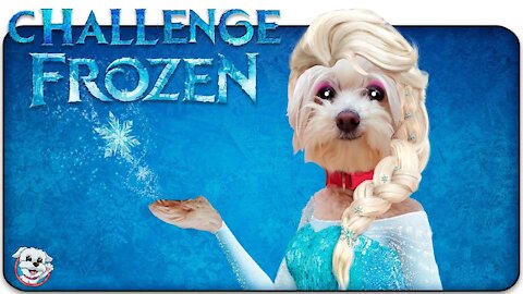 FROZEN CHALLENGE! ❄️My Dog FREEZES me!⛄️🐶