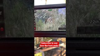 I love self-filming my hunts!