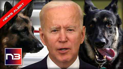 EJECTED! Biden’s Dogs EXPELLED from WH, Seconds Later The Internets ERUPTS