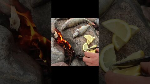 EXTREME 3 Day Island Camping: CATCH & COOK #shorts