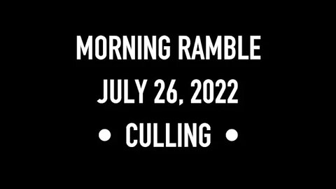 Morning Ramble - 20220726 - Culling