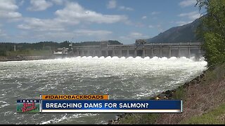 Breaching Dams for Salmon