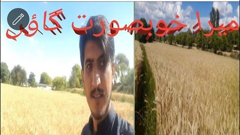 MY First vlog in my village | kamran vlog