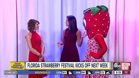 Florida Strawberry Festival, Feb. 28 - March 10