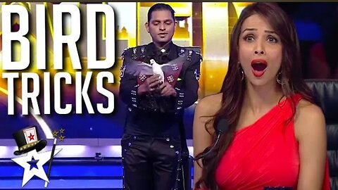 Magician Conjures BIRDS To The Stage on India's Got Talent | Magicians Got Talent