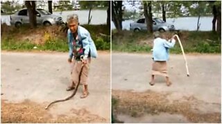 Grandma kills snake with her bare hands