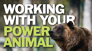 Working With Your Power Animal