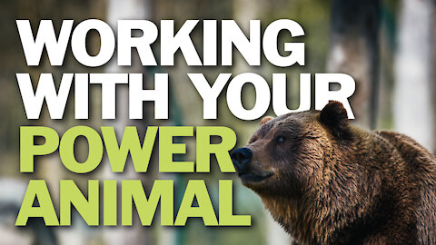 Working With Your Power Animal