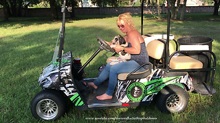 Great Dane Puppy Enjoys His First Golf Cart Ride