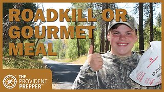 Roadkill or Gourmet Meal? You Decide!