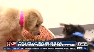 Decision pending on pet store ordinance